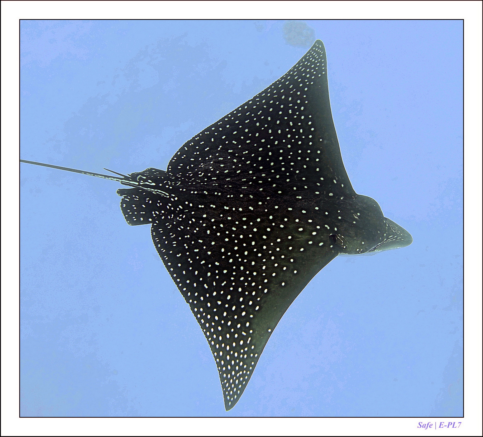 Hurghada - Juillet 2021 - 064